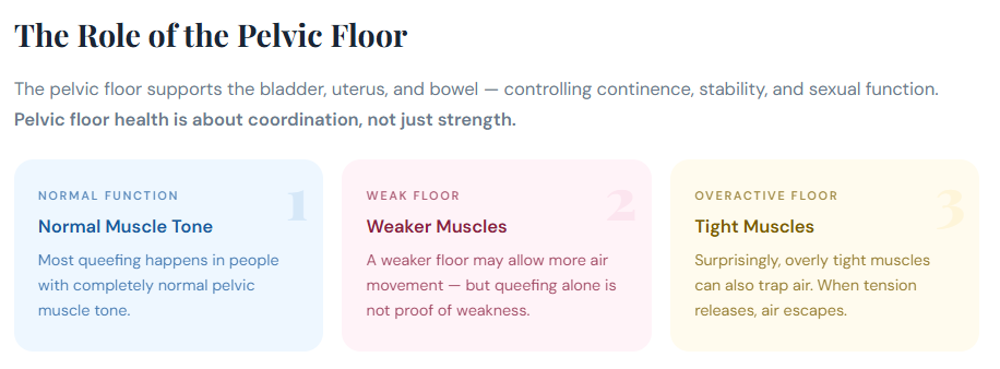 The Role of the Pelvic Floor