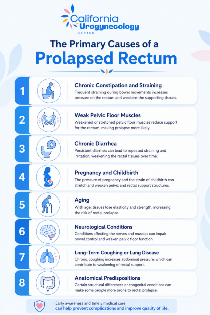 The Primary Causes of a Prolapsed Rectum
