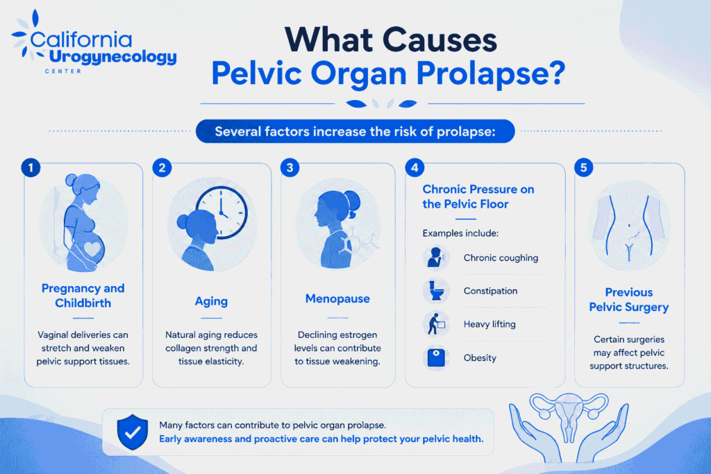 What Causes Pelvic Organ Prolapse